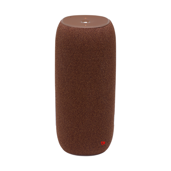 JBL Link Portable с Алисой Brown (корочневая)