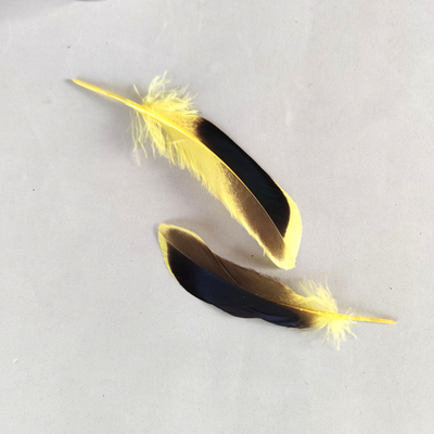 Перья кряквы желтые 10 шт.