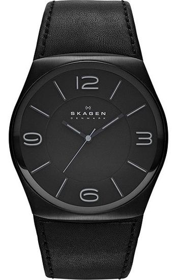 Наручные часы Skagen SKW6043