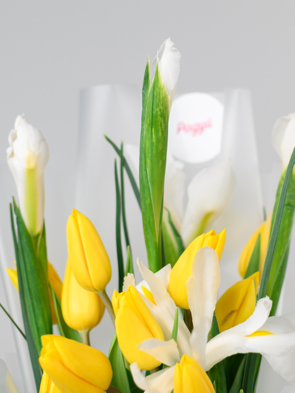 Дуо букет Ирисы с Тюльпанами