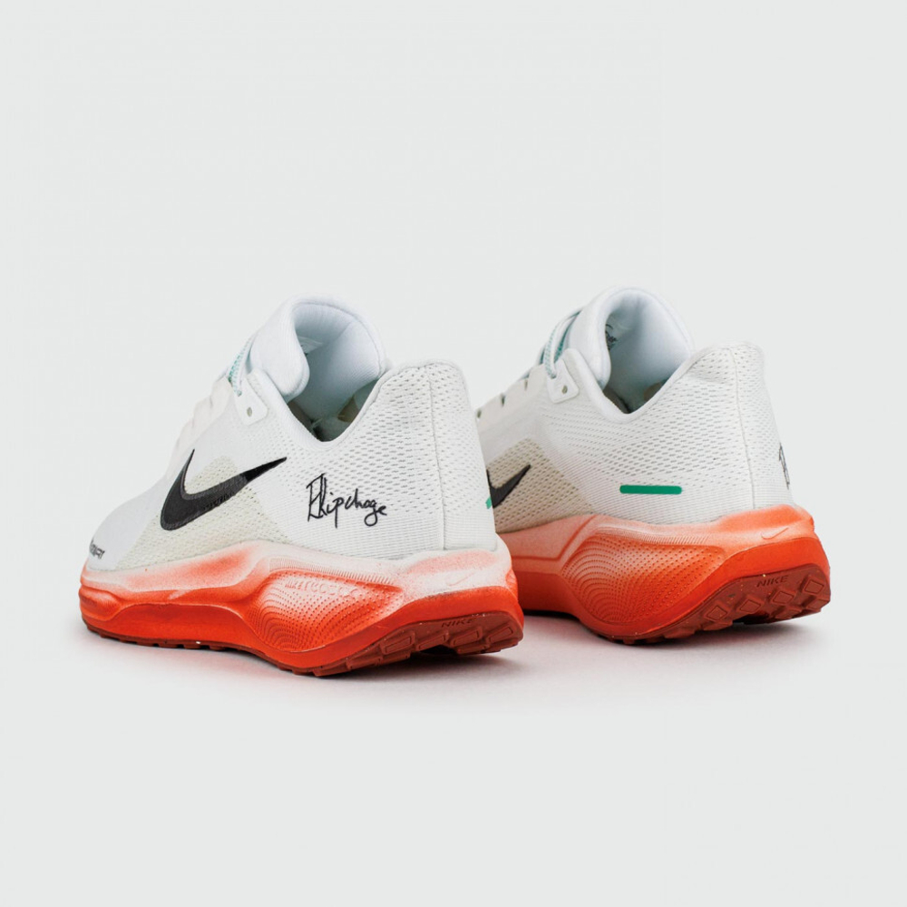 кроссовки Nike Air Zoom Pegasus 41 Eliud Kipchoge Wmns