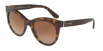 Dolce & Gabbana DG4311 502/13