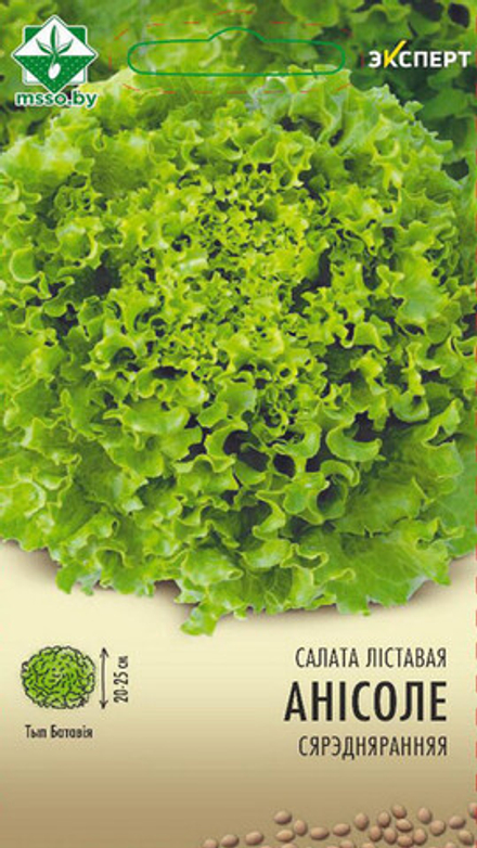 Салат "Аннисоле" 20шт, Нидерланды.