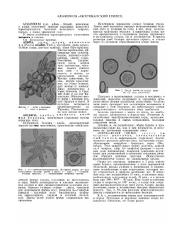Словарь-справочник пчеловода | Н.Ф. Федосов