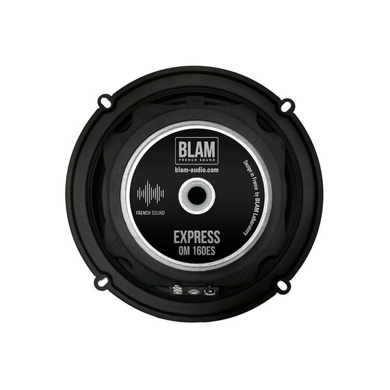 Комп. акустика BLAM OM160ES13