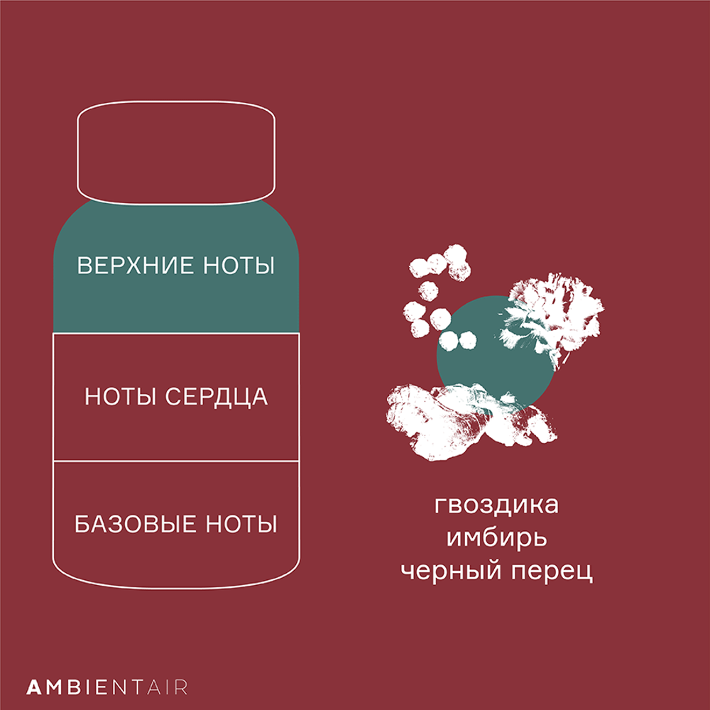 Диффузор ароматический 100мл Ambientair Gifting Имбирное печенье