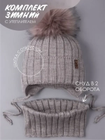 Шапка зимняя для мальчика на завязках и снуд