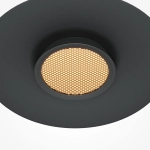 Подвесной светильник Maytoni EL MOD041PL-L15B3K1