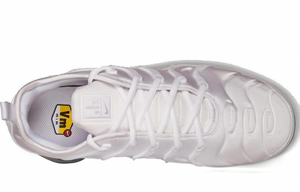Кроссовки Nike Vapormax Plus