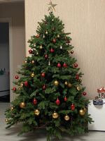 Ель искусственная «Графская» (Литая+пвх) 210 см / 2.1 м