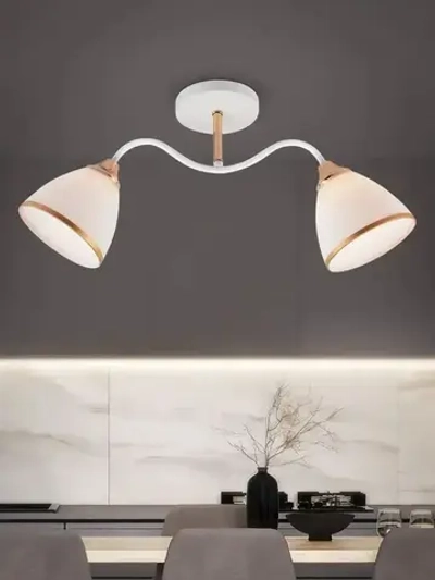 Люстра Rivoli Debbie 3156-312 2 х Е27 60 Вт модерн