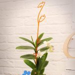 Опора для орхидеи 60см зеленая