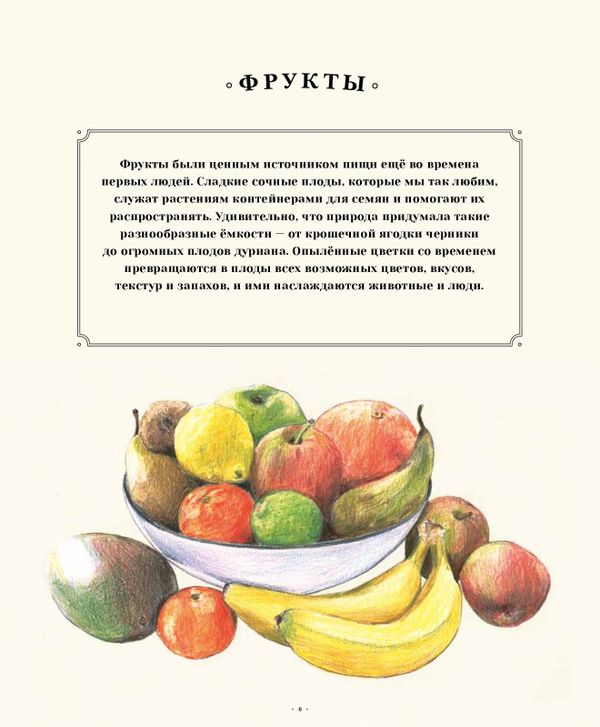 Такая красивая еда