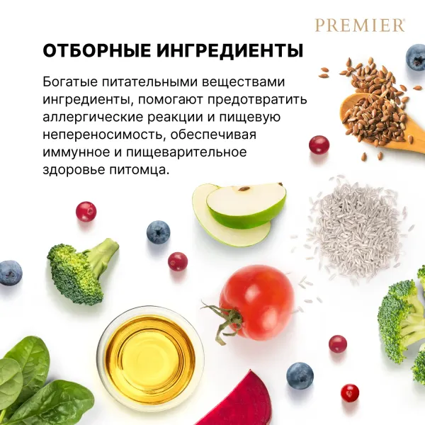 Уценка! Повр.Упак/Сухой корм Premier Dog Salmon&Turkey Adult Medium для собак средних пород из свежего филе лосося с индейкойPR Adult Salmon Med 10
