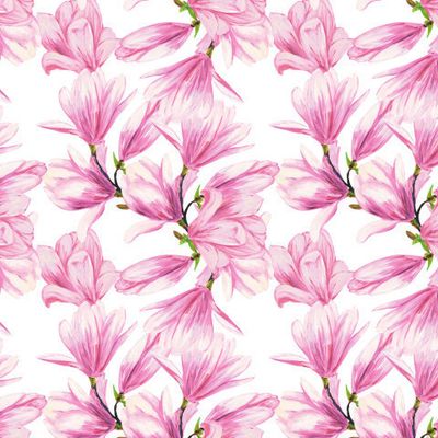 Цветы магнолии