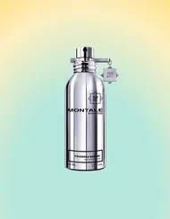 Montale Fougeres Marine