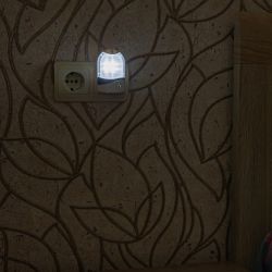 DTL-310-Селена-White-4LED-0.5W Светильник-ночник. С фотосенсором день-ночь. Блистер