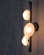 Настенный светильник 5055W/3 black/white