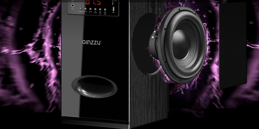 Акустика напольная Ginzzu GM-328