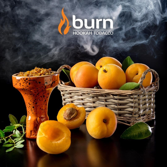 Burn Juice Apricot (Джуси априкот), 100 гр.