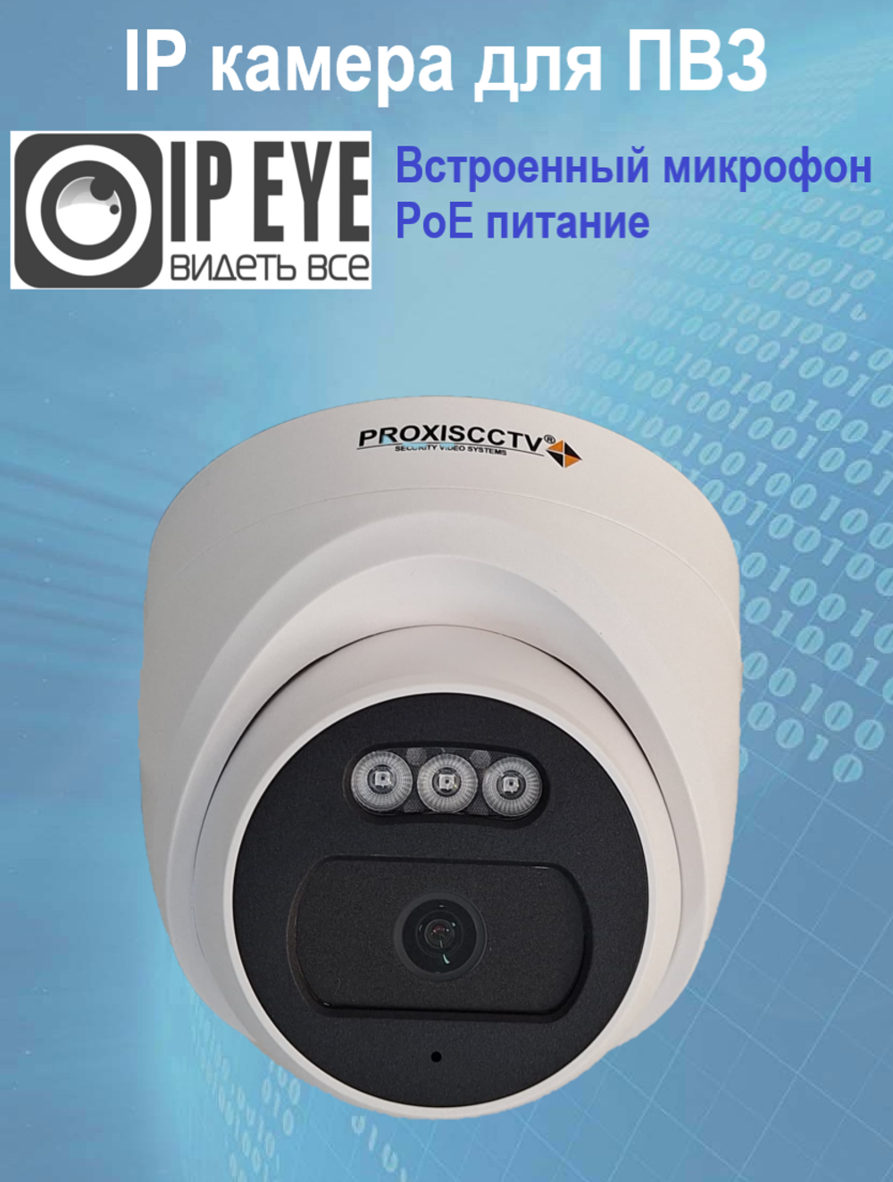 Купольная камера IP-видеонаблюдения 2 Мп для ПВЗ / PoE / IPEYE / с микрофоном