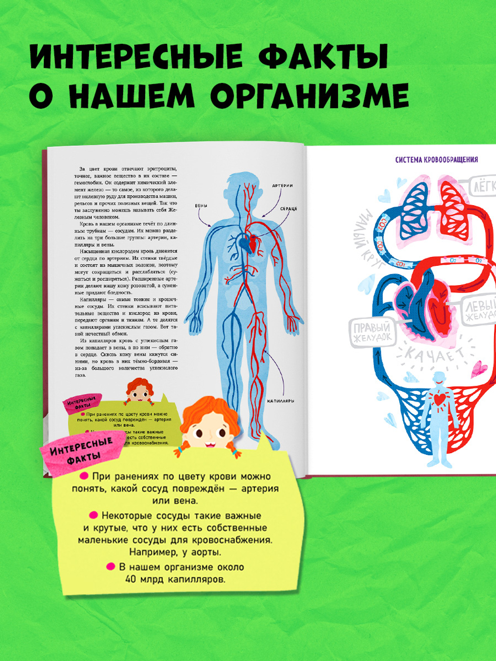 Любимая детская энциклопедия. Тело человека и как оно работает