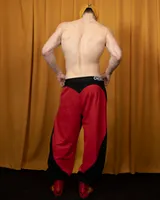 Черно-красные брюки 