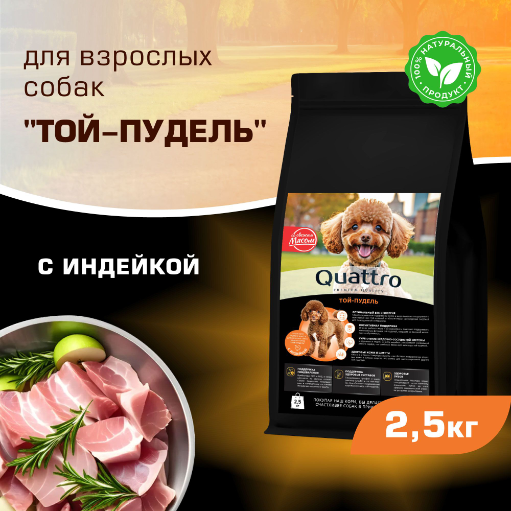 Корм сухой для взрослых собак породы Той-пудель, с индейкой, 2,5 кг, QUATTRO