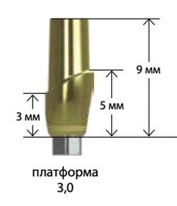 Абатменты титановые прямые BIOHORIZONS
