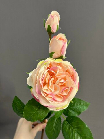 Роза пионовидная с 2 маленькими бутонами розовая (h59 см)