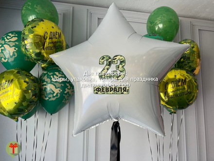 Два фонтана и звезда 23 февраля