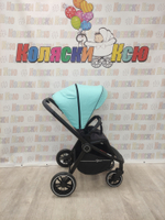 Коляска прогулочная Rant Flex 2021 Blue