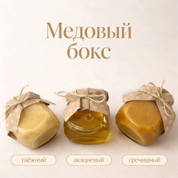 Медовый бокс (набор из 3 сортов меда: таежный, горный, донниковый). 900гр. Алтайский край