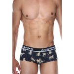 Мужские трусы хипсы темно-серые с принтом DARKZONE DZN3311