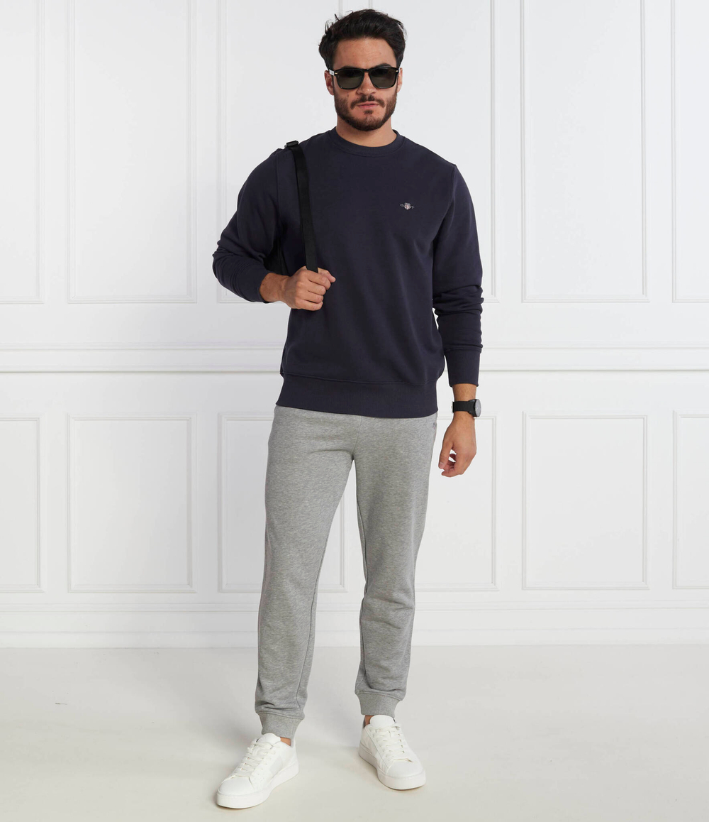 Спортивные штаны Gant - серый(2009026)