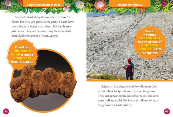 NGK-Min Dino Stories