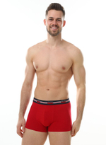 Мужские трусы-боксеры с широкой мягкой брендированной резинкой (Размер: XXL) (Цвет: синий)