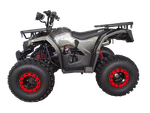 Квадроцикл  125 THUNDER WELS AX  PRO (Чёрный)