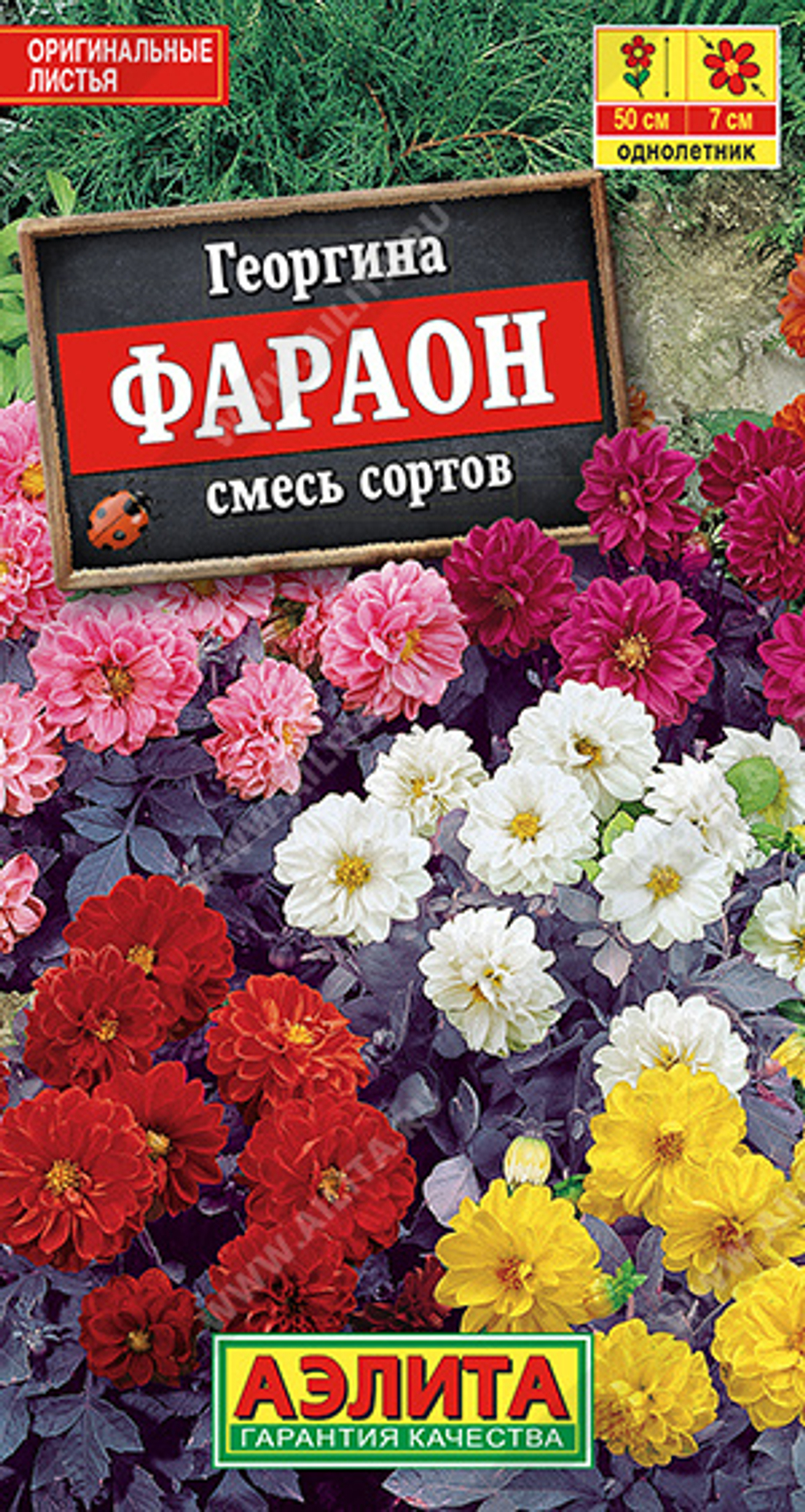 Георгина Фараон, смесь сортов 0,3гр Аэлита