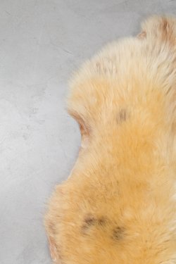 шкура декоративная