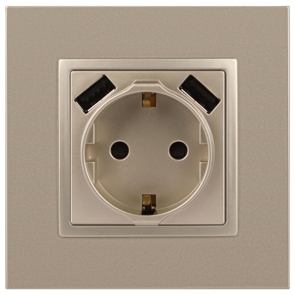 Розетка ЭРА Elegance 14-4109-04 2P+E 16A-250В штор. с 2xUSB 5В-3А шампань | Эра Elegance