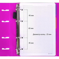 Тетрадь на кольцах А5 175х220мм, 120л, пластик, на липучке с разделителями, BRAUBERG, Розовый,404635
