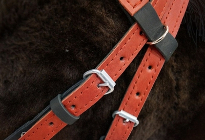 Узда кожаная (с регулировкой размера)