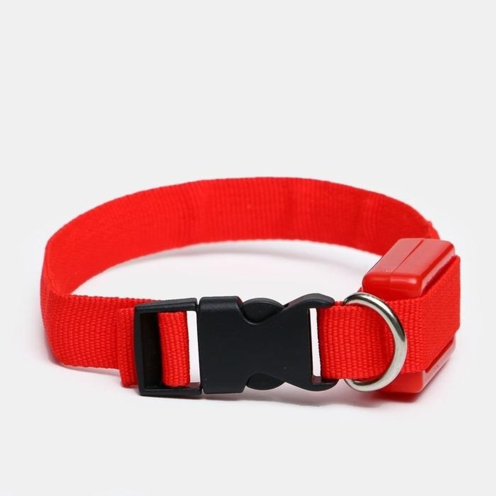 Ошейник светящийся узкий для небольших собак, 3 режима, 26см, Красный
