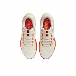 Мужские кроссовки Nike Air Zoom Pegasus 41 'Year of the Snake' HV5975-102