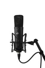 Warm Audio  WA-87 R2 Black
