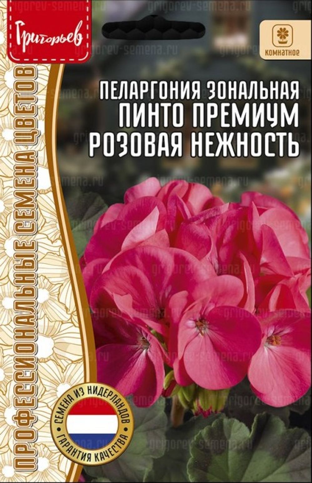 Пеларгония Пинто Премиум Розовая Нежность зональная