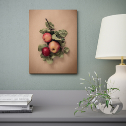 IKEA PJÄTTERYD  (ИКЕА ПЙÄТТЕРЙД)  -  Изображение, яблоки и листья, 30x40 см