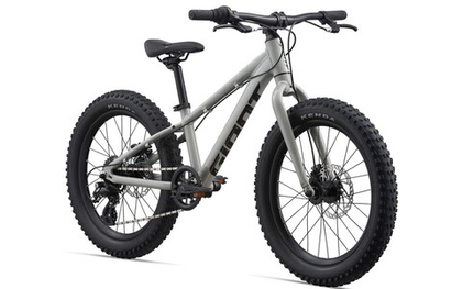Детский велосипед Giant STP 20 (2023)