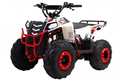 Квадроцикл WELS Thunder EVO M детский